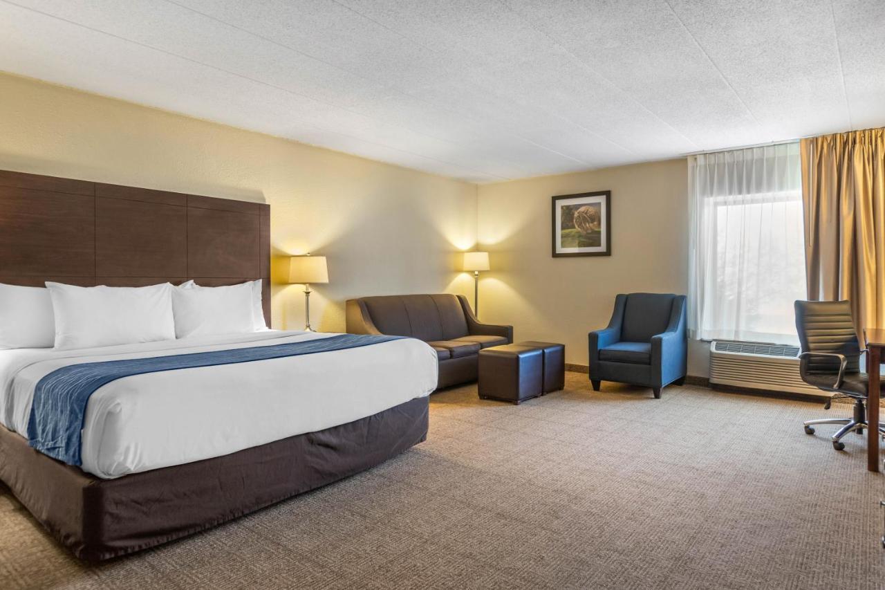 King Room with Sofa Bed - Non-Smoking