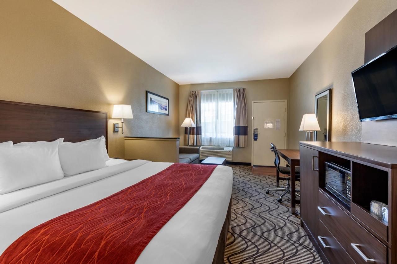 Suite, 1 King Bed with Sofa Bed, Non Smoking