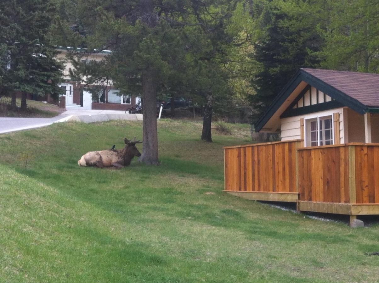 Two-Bedroom Cottage,953153320:JPEG
