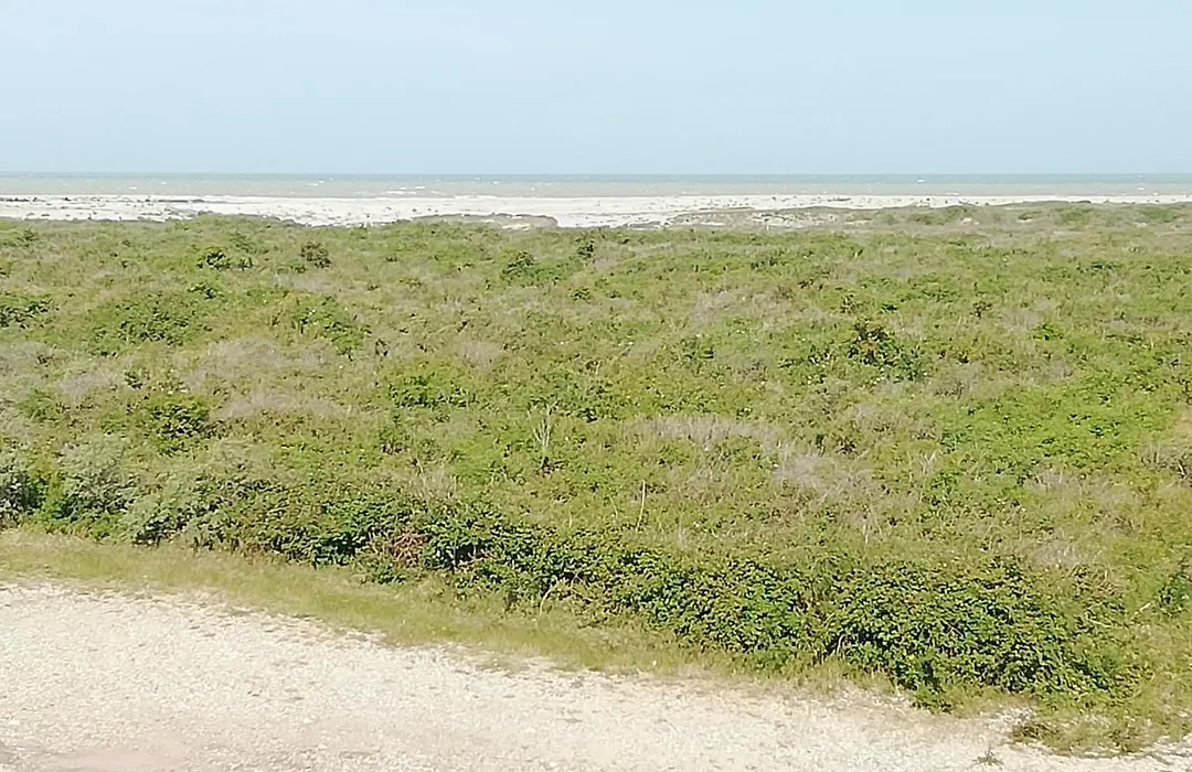 Escale en Baie de Somme-1