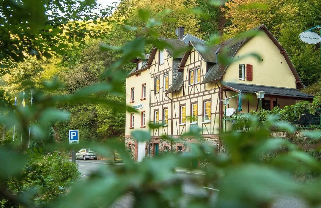 Boutique-Hotel Jungenwald-1