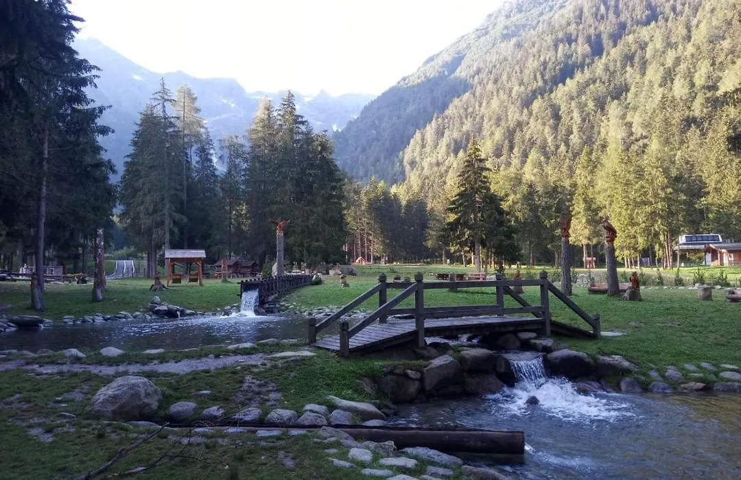 Hotel Pineta-1