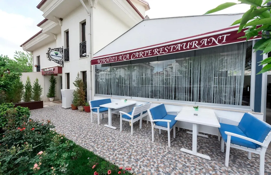 Blueberry Boutique Hotel-1