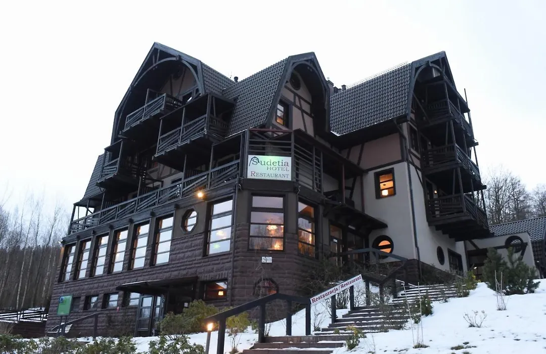 Boutique Hotel Sudetia - Medical & Spa-1