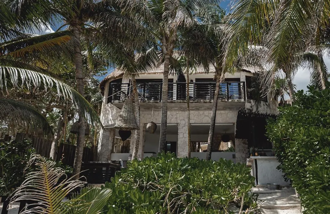 Nest Tulum-1