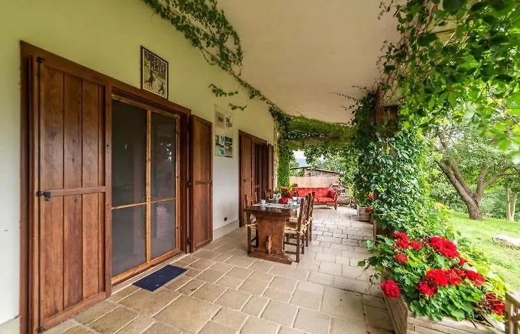 The Forest House-1