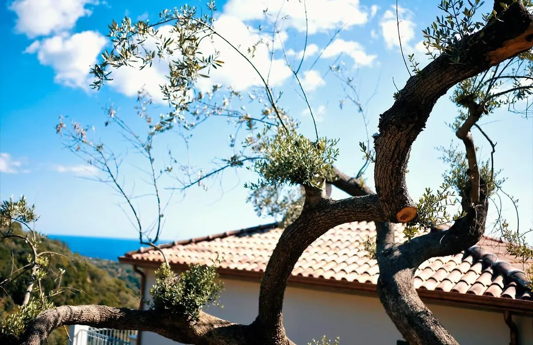 Country House “ Il Mandorlo”-1