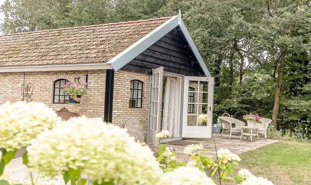 Bed&Breakfast de Appelaar-1