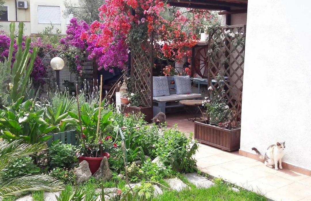 Angolo Verde-1
