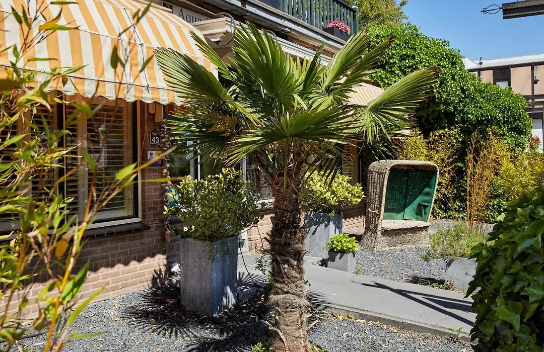 Guest House Aquarius-1