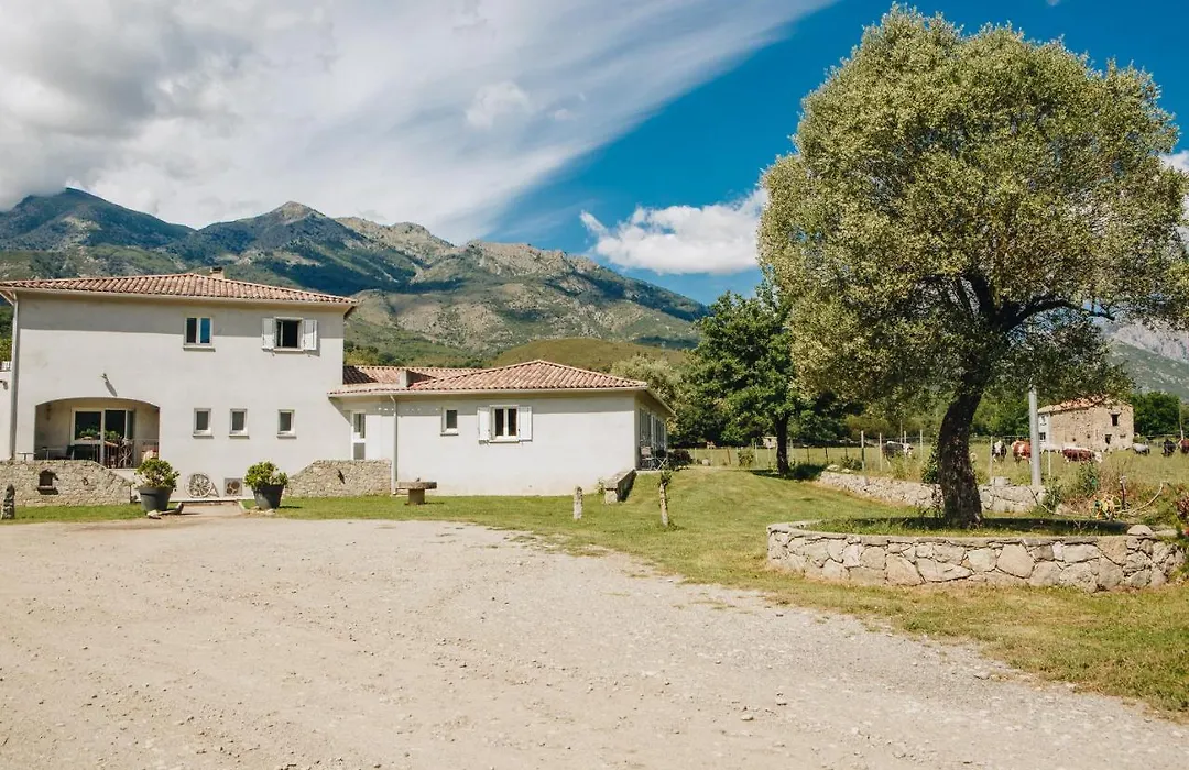 B&B A Chjusellina-1