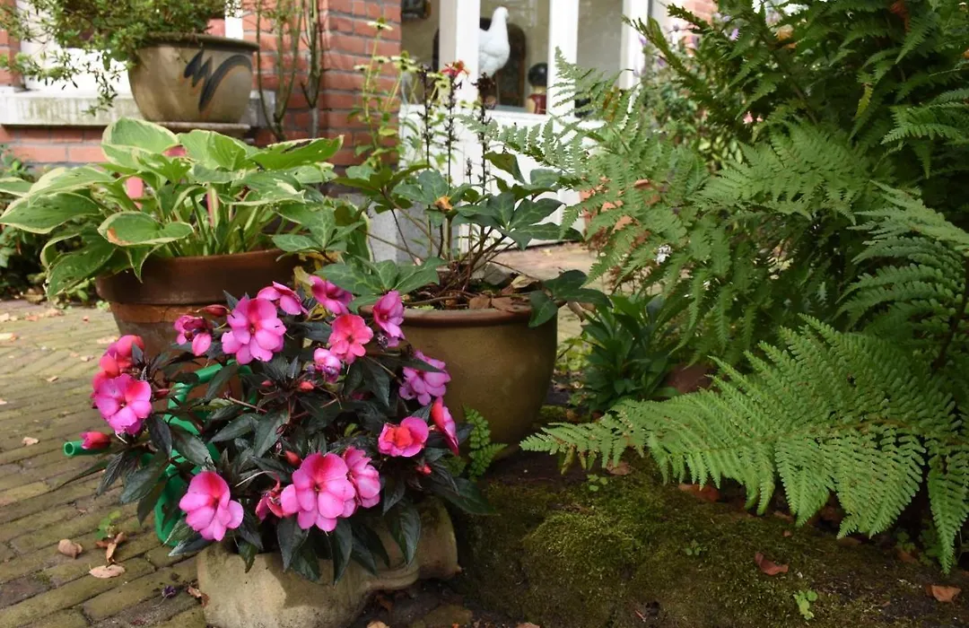 Bed & Breakfast Leonie-1