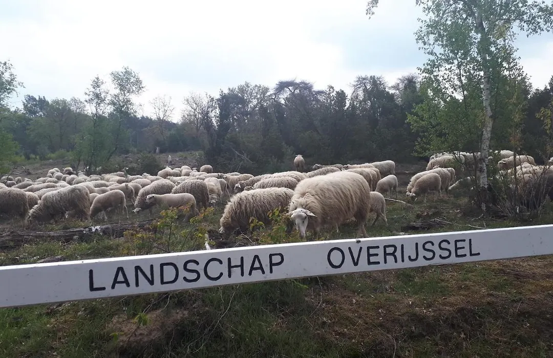 De Hammerhoeve-1