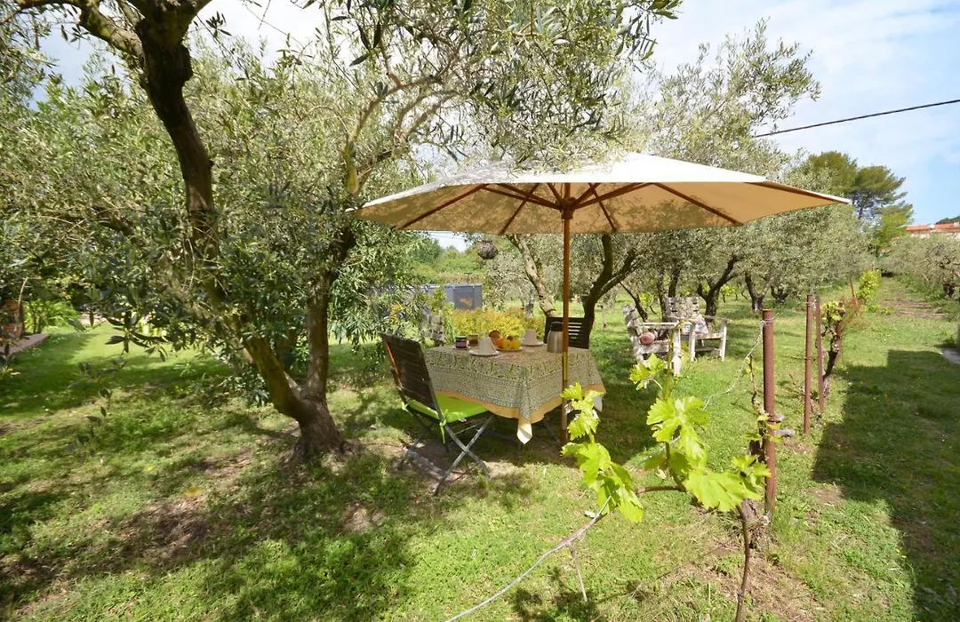 le cabanon de l'olivette-1