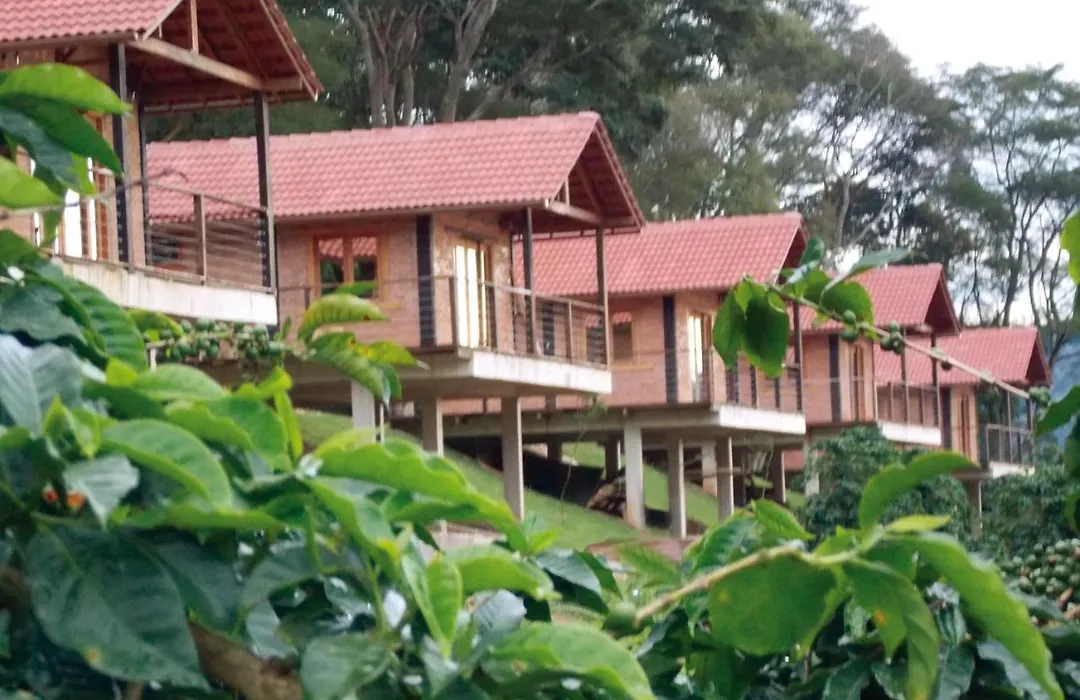 Pousada Café da Mata-1