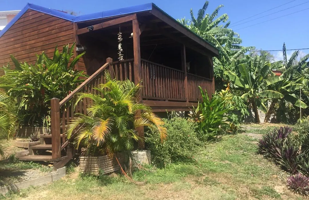 BUNGALOW La Tortue Bleue-1