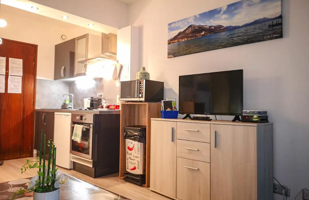 Léman Holidays - Appartement Hyper centre-1