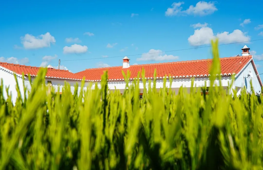 Casa Codebo - Guest House-1