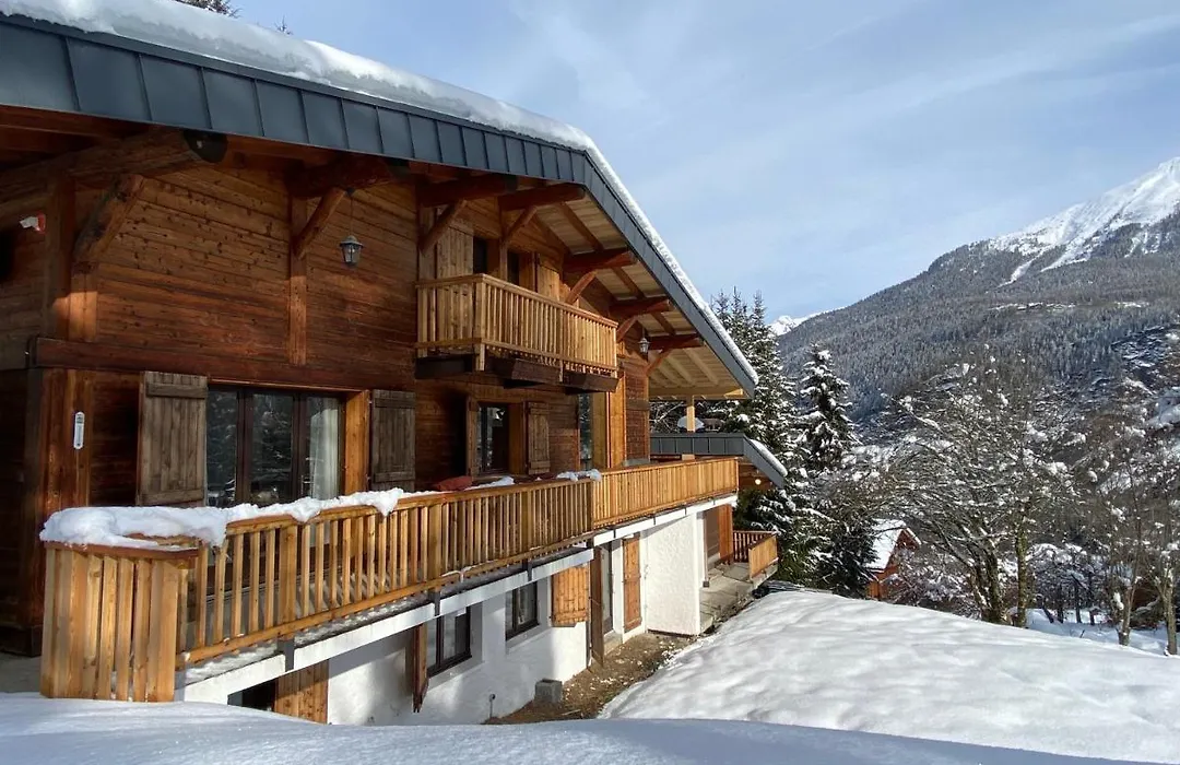 Chambres d'hôtes - B&B - Chalet Mountain Vibes-1