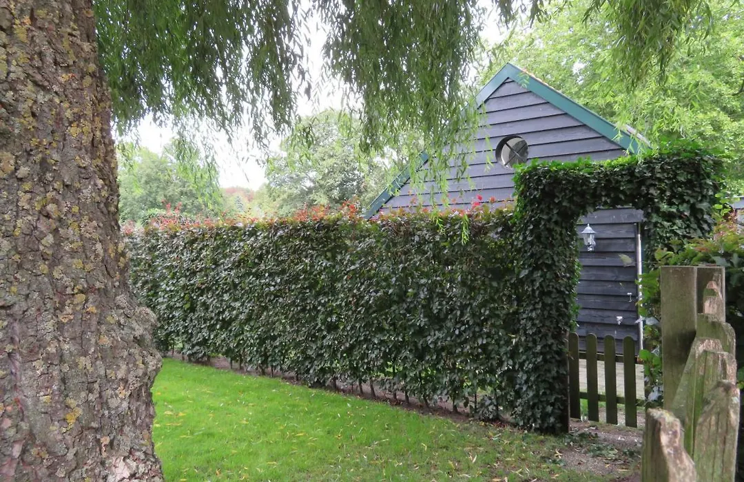 B&B De Willemshoeve-1