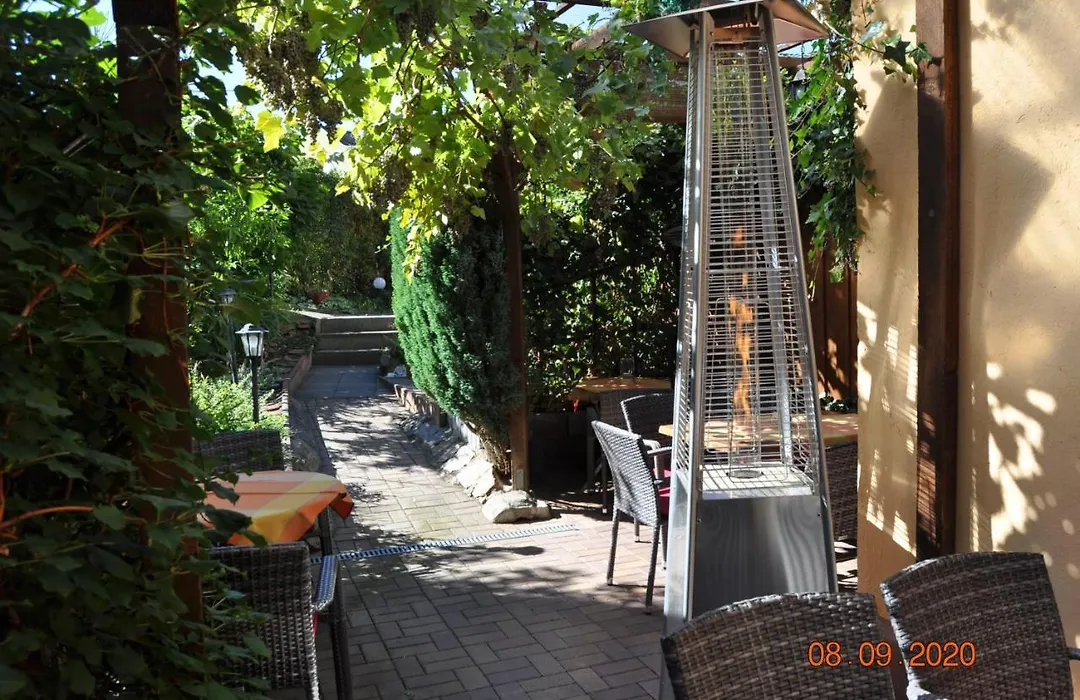 Pension Di Pino-1