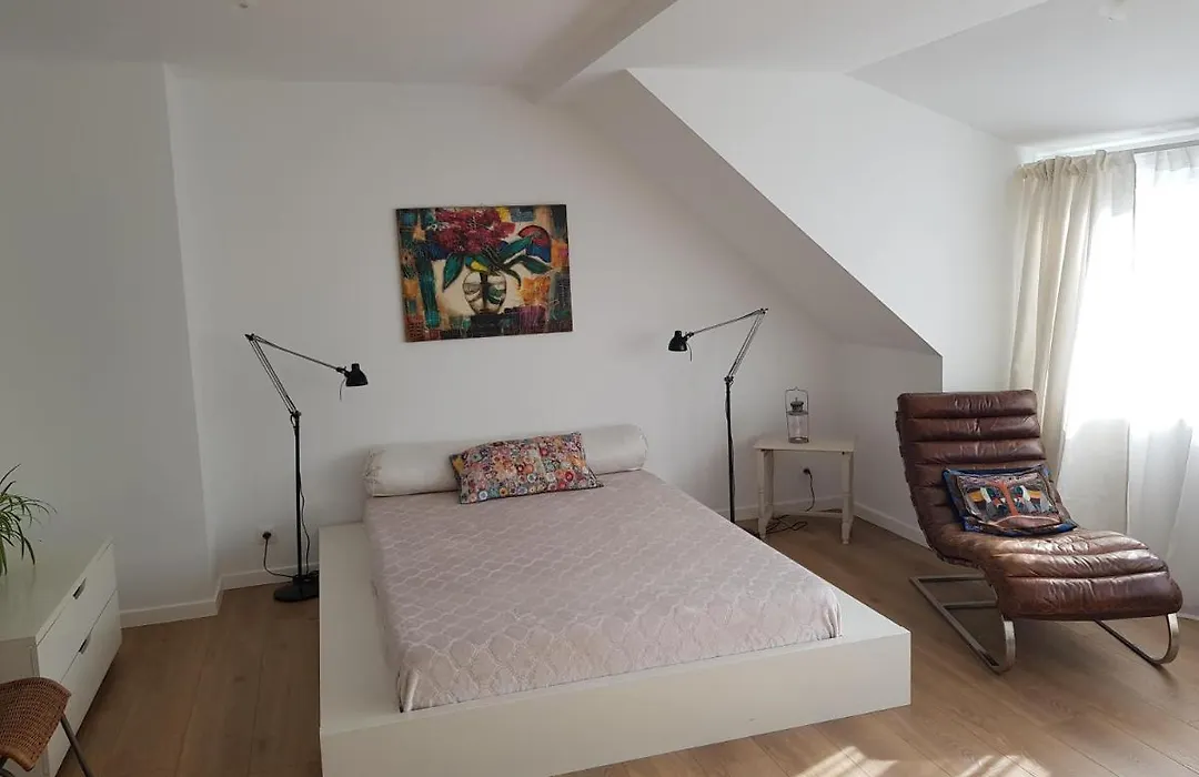 Maison Des Fleurs-1