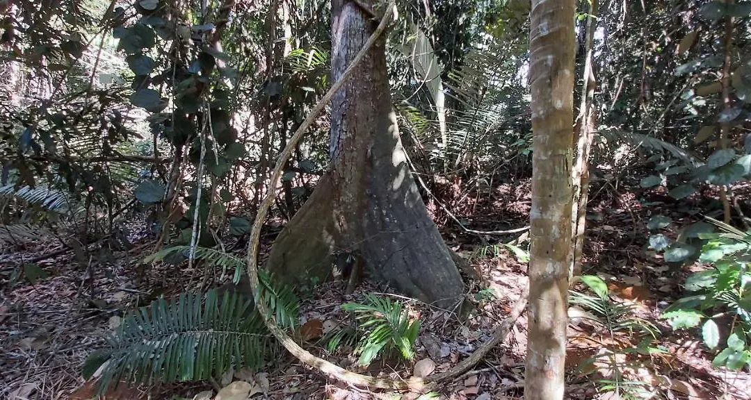 Recanto Dos Ingas-1