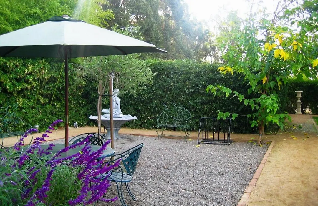 Vineyard Inn Hotel-1