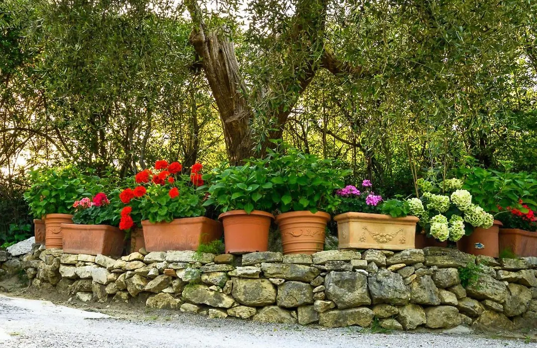 B&B Villa Giulia-1