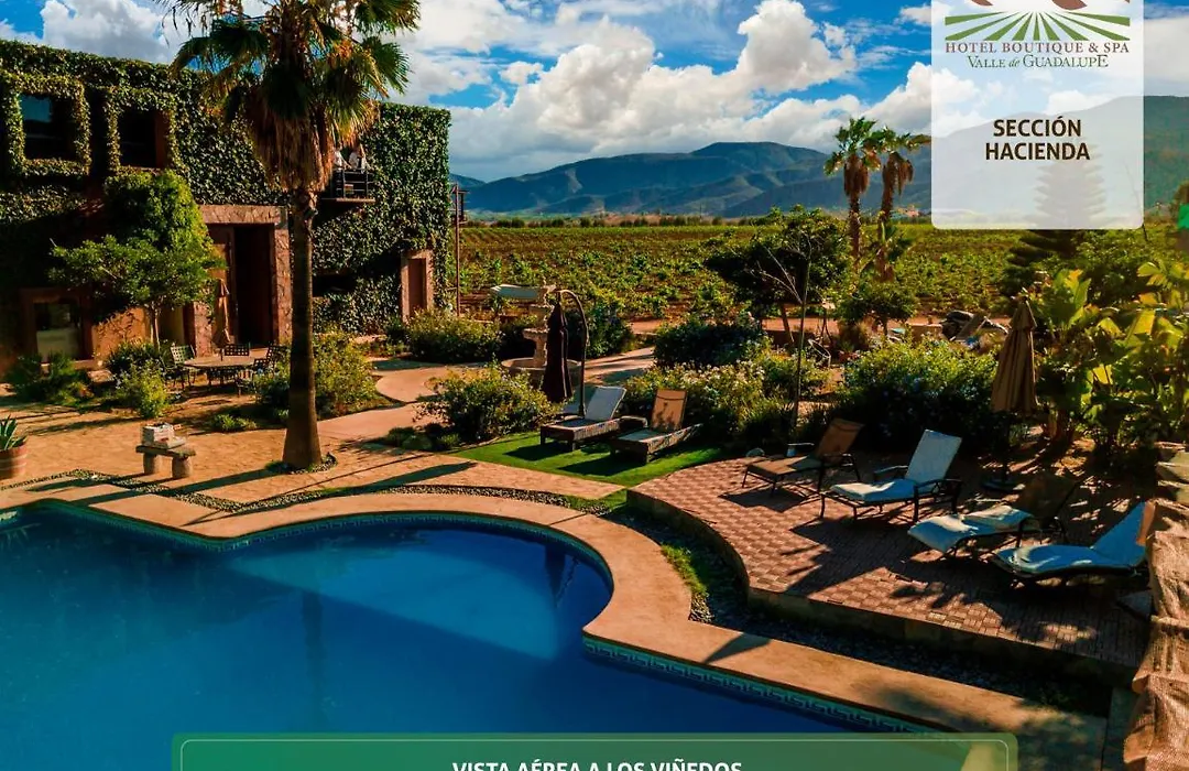 Hotel Boutique Valle De Guadalupe & Spa-1