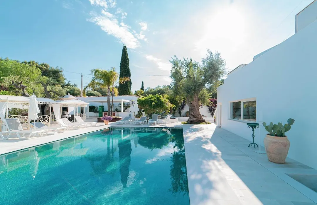 B&B Antico Ulivo-1