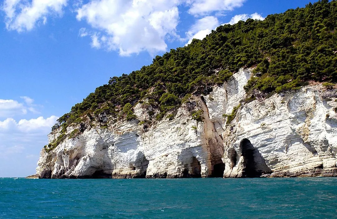 Apulia Bed&Breakfast-1