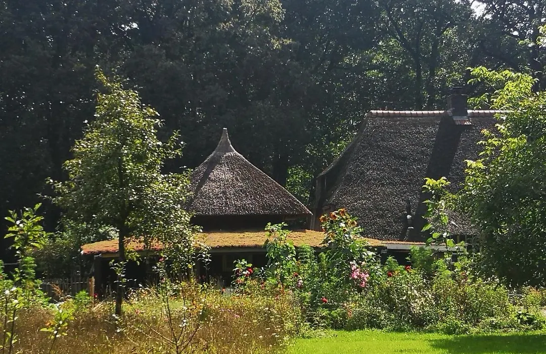 Bed & Breakfast Markelo-1