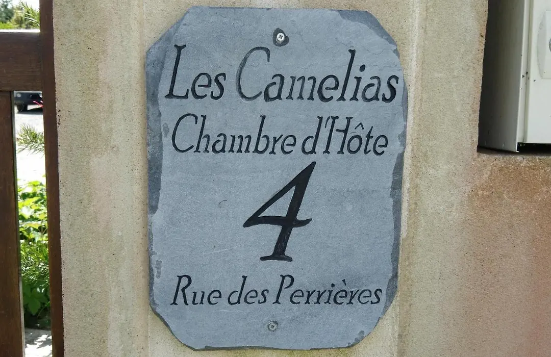 Les Camelias-1