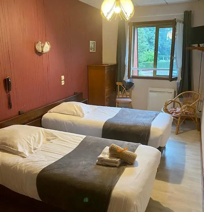 Hôtel des Alpes-1