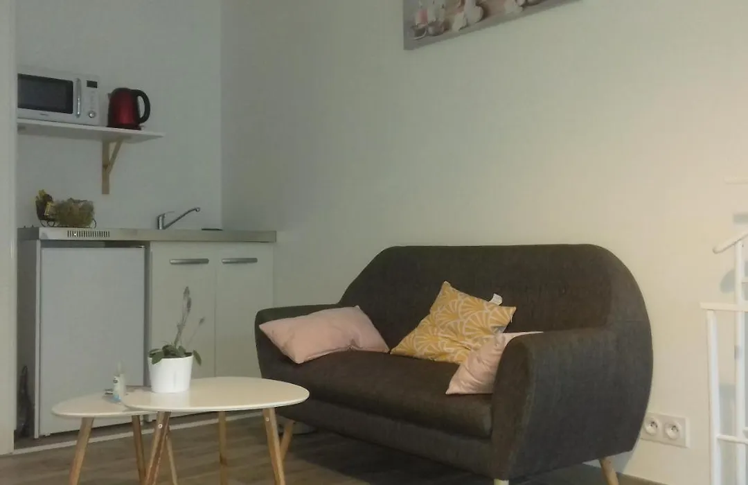 Studio Dans Quartier Calme Pres De Tout-1