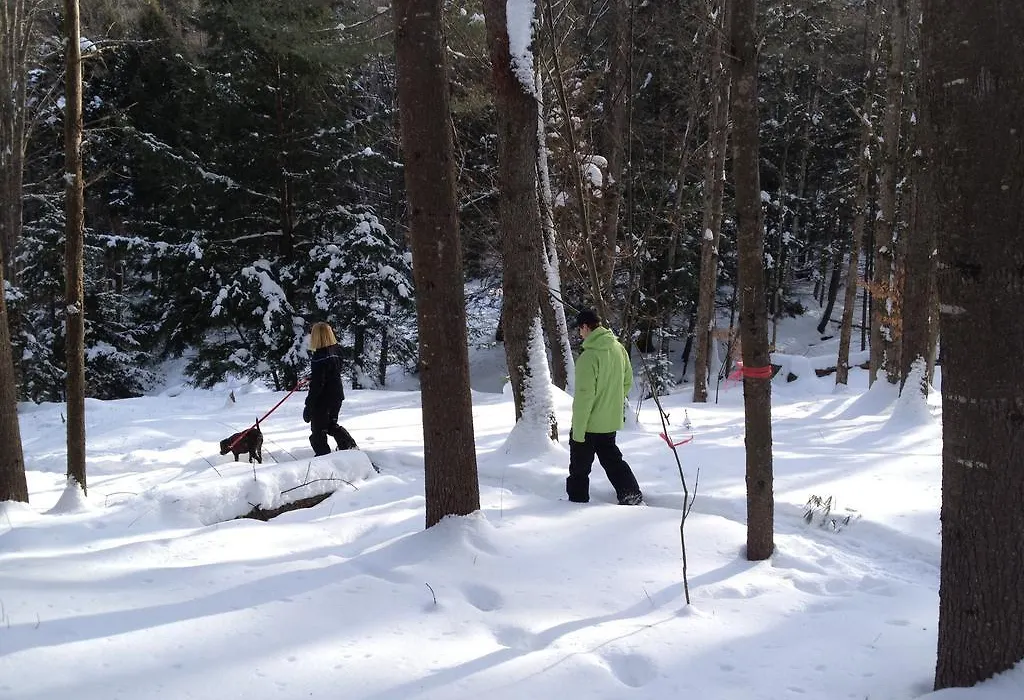 Mountain Road Resort-1