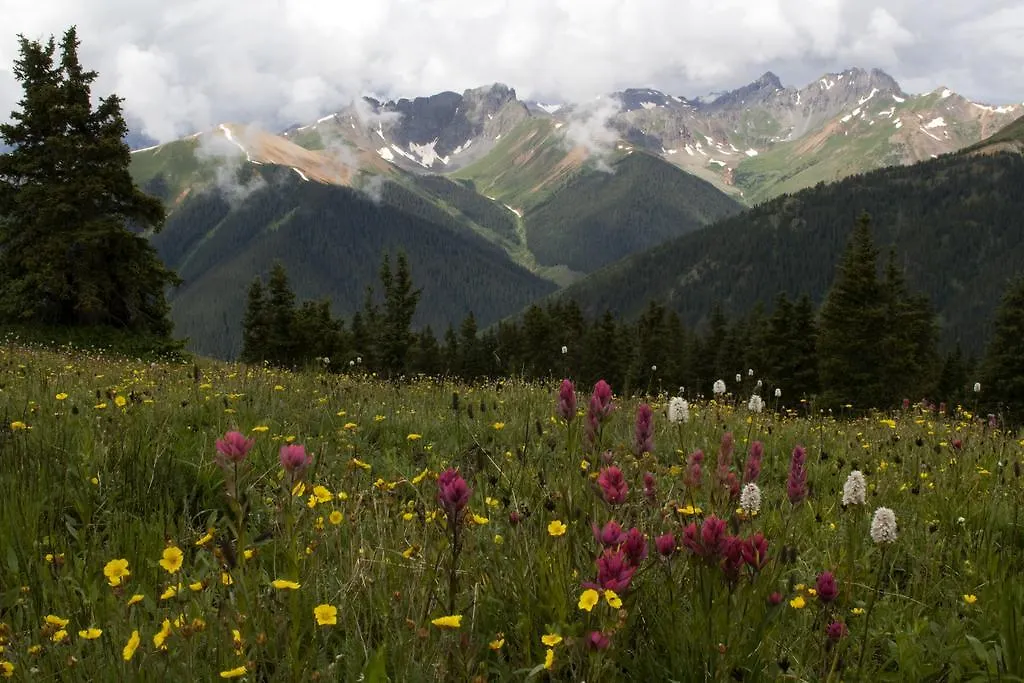 Ouray Chalet Inn-1