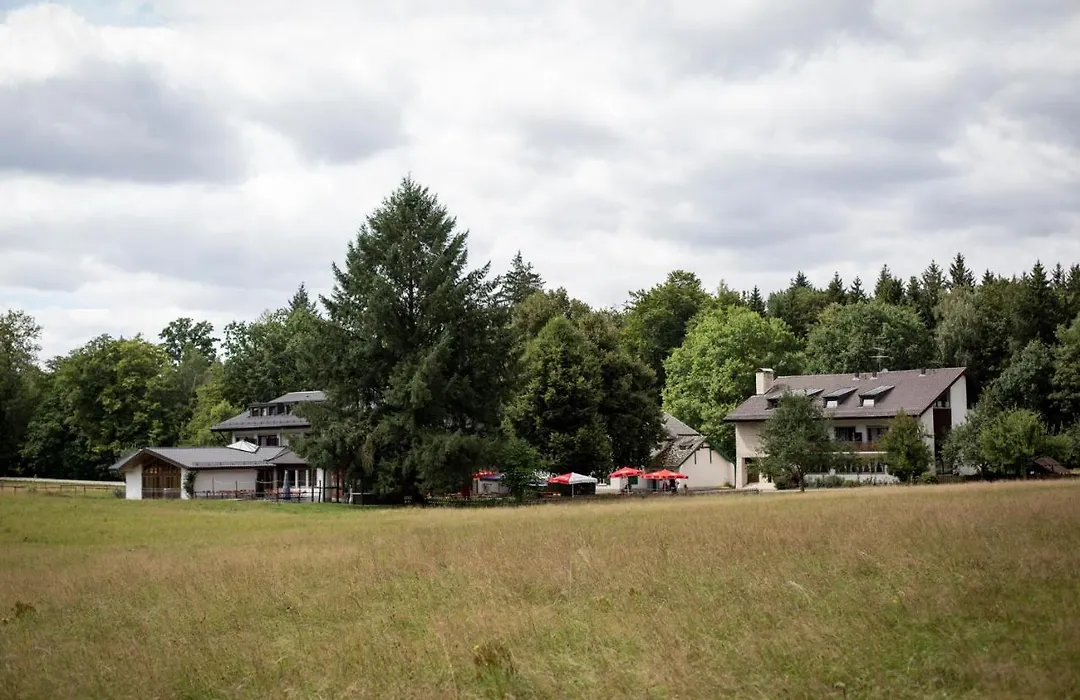 Hotel Waldgasthof zum Geländer-1