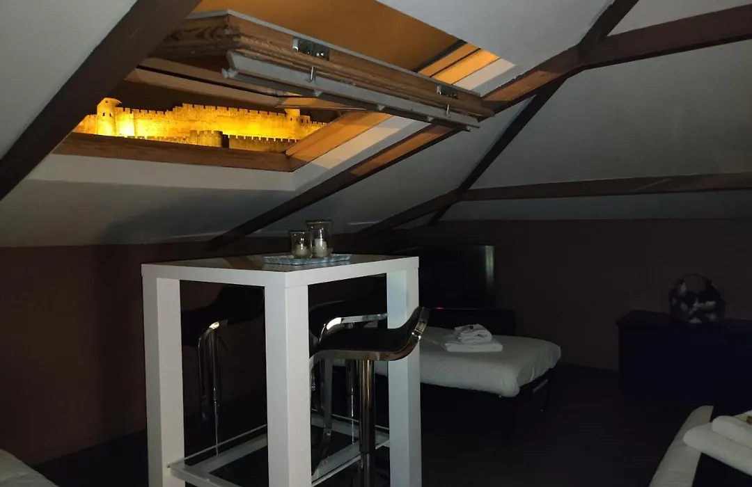 La Villa Carcassonne, piscine chauffée, Cité à 600m, Clim, Parking, Borne VE-1