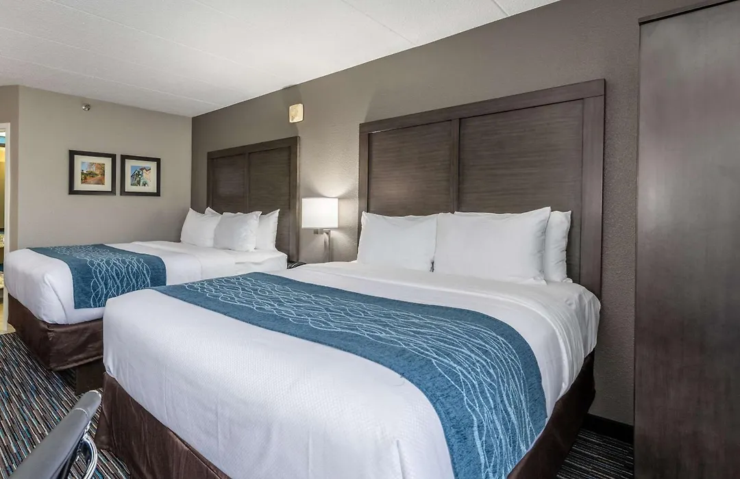 Comfort Inn Chicago Schaumburg - O'Hare Airport-1