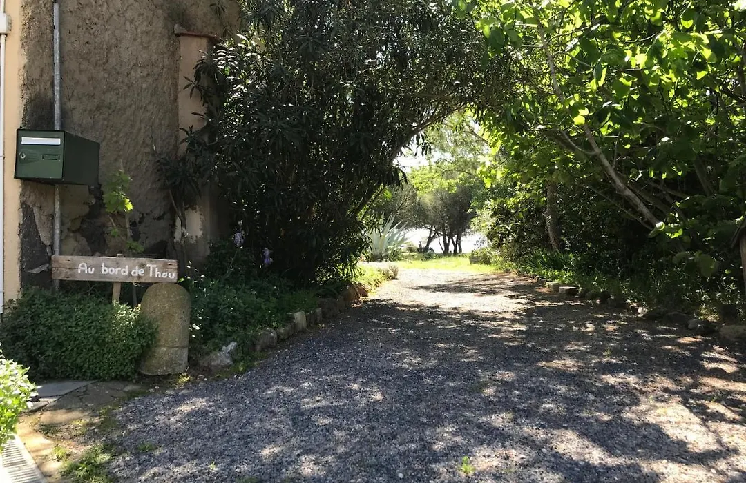 Au Bord De Thau-1