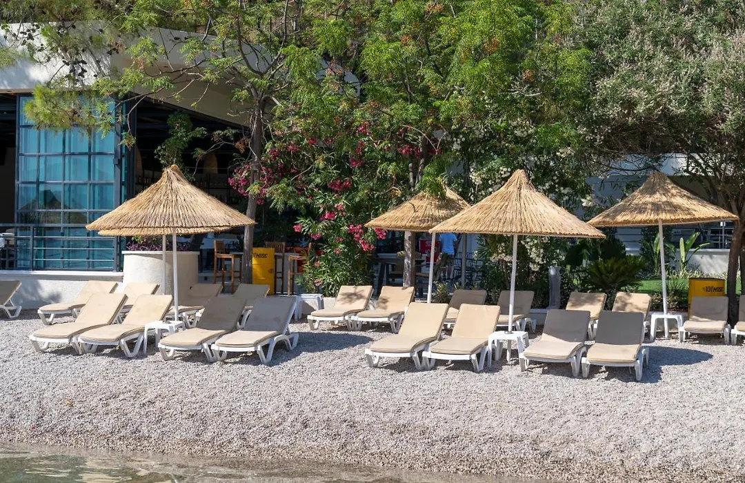 Alesta Yacht Hotel-1
