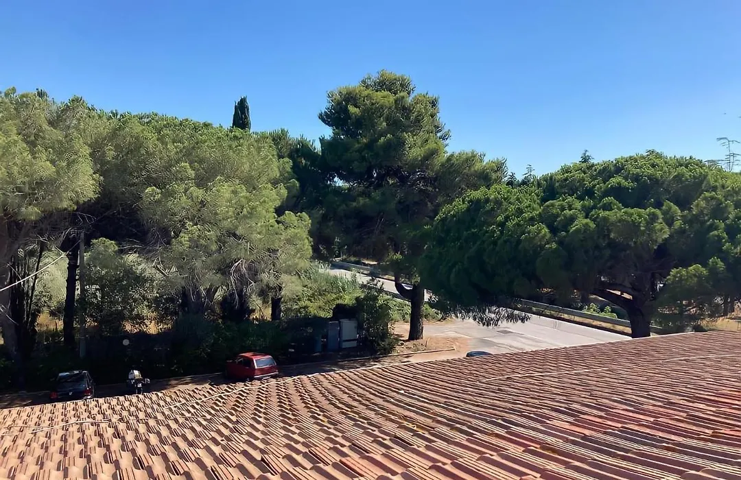 Da Fiore-1