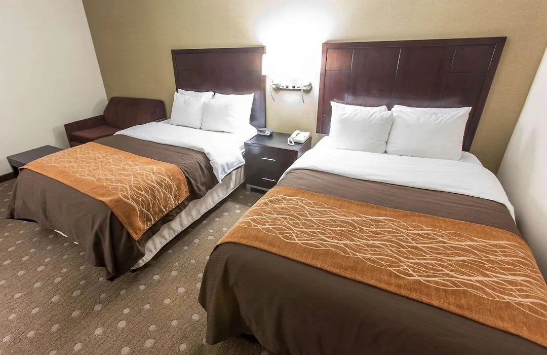 Comfort Inn Pittsburgh Crafton-1