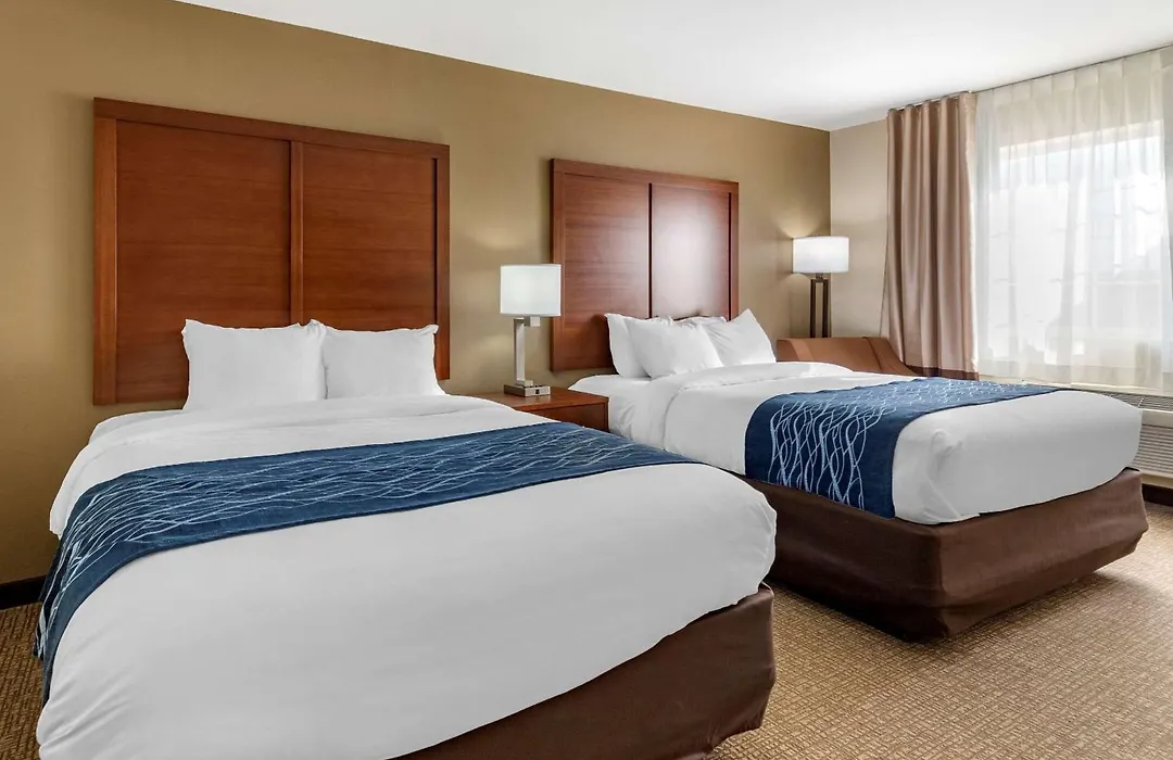 Comfort Inn & Suites Texas Hill Country-1