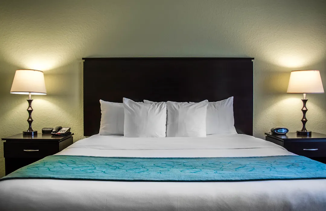 Hampton Inn By Hilton Tampa Fairgrounds Casino-1