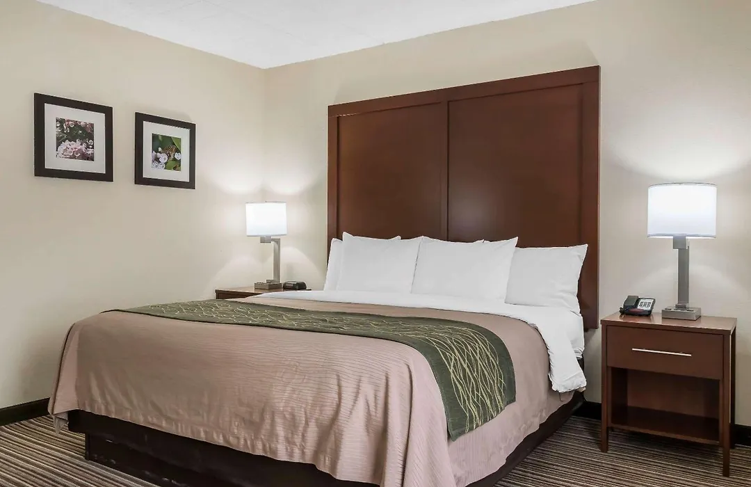 Comfort Inn - Pocono Mountains-1
