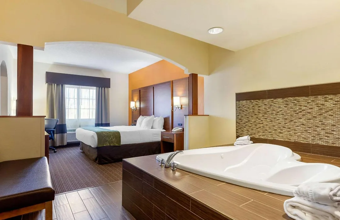 Comfort Suites Stevensville - St Joseph-1
