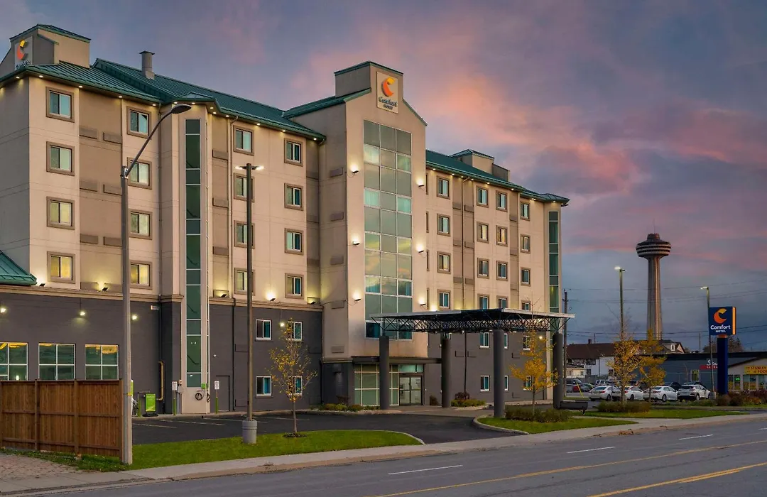 Comfort Hotel-1